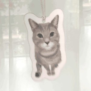 Personalized Cat Portrait Air Freshener