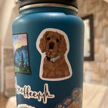 Load image into Gallery viewer, Custom Water Bottle Stickers
