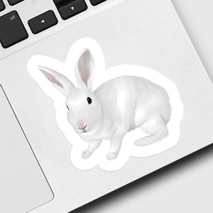 Custom Pet Rabbit Stickers