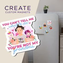 Load image into Gallery viewer, Create your own Custom Magnets You Can&#39;t Tell Me What to Do with High Quality
