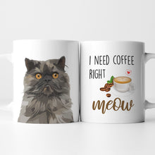 Load image into Gallery viewer, I Need Coffee Right Meow Cute Cat Mug
