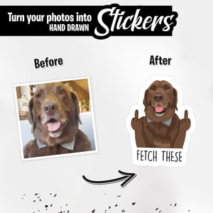 Custom Funny Pet Hand Photo Stickers