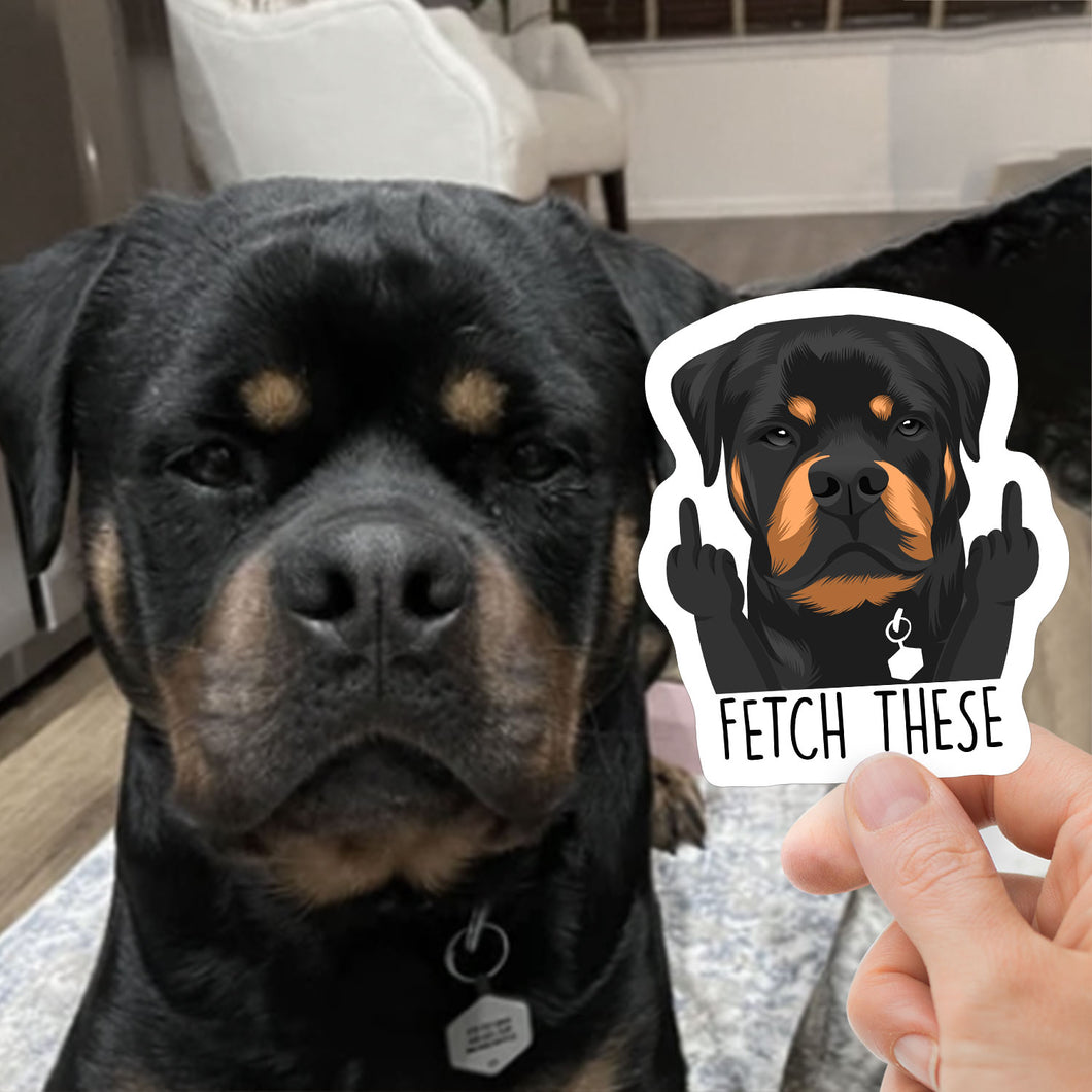 Custom Funny Pet Hand Photo Stickers