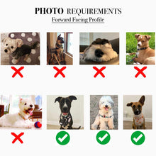 Load image into Gallery viewer, Custom Funny &quot;Fetch These&quot; Dog Magnets
